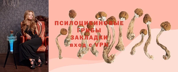 тгк Верея