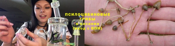 тгк Верея