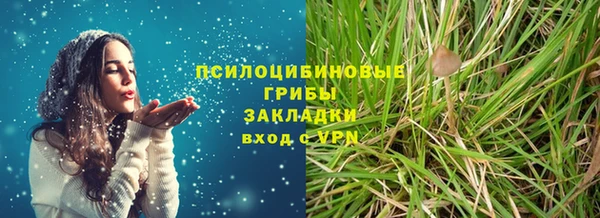 тгк Верея
