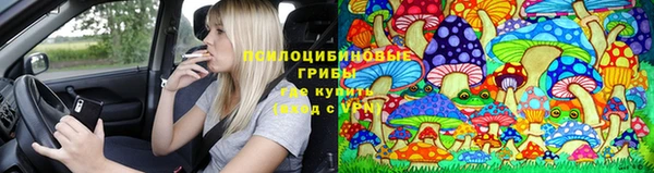 тгк Верея